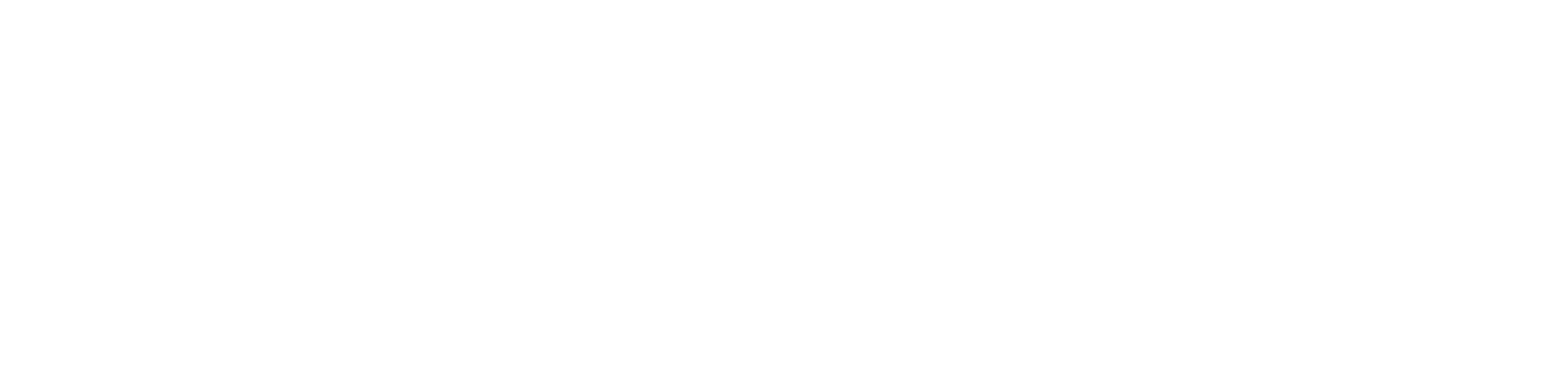 Sinn Logo