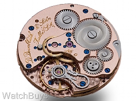 Dornblueth & Sohn Calibre 99.10 Weltzeit Power Reserve Engraved Dial