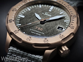 Sinn T50 Goldbronze Limited Edition