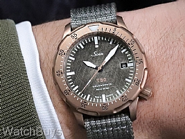 Sinn T50 Goldbronze Limited Edition