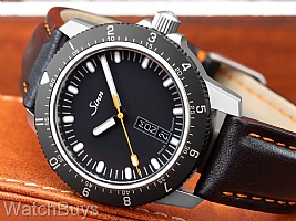 Sinn 105 St Sa on Leather Strap